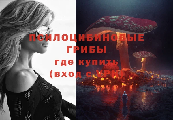 марки lsd Богородицк